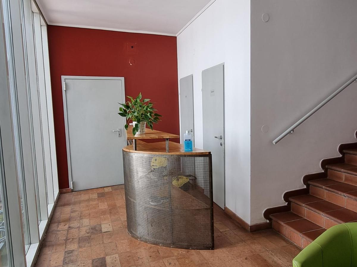 Alina's Apartamento