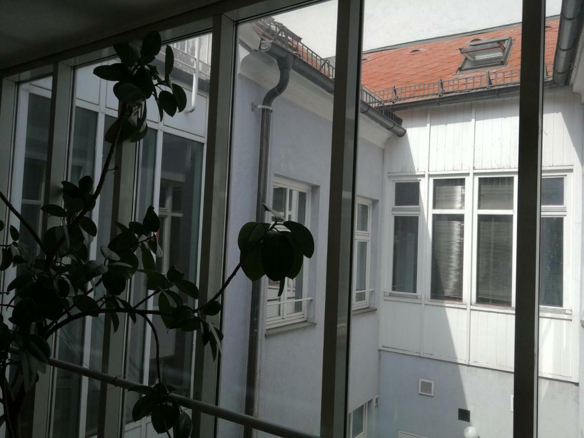 Alina's * Viena